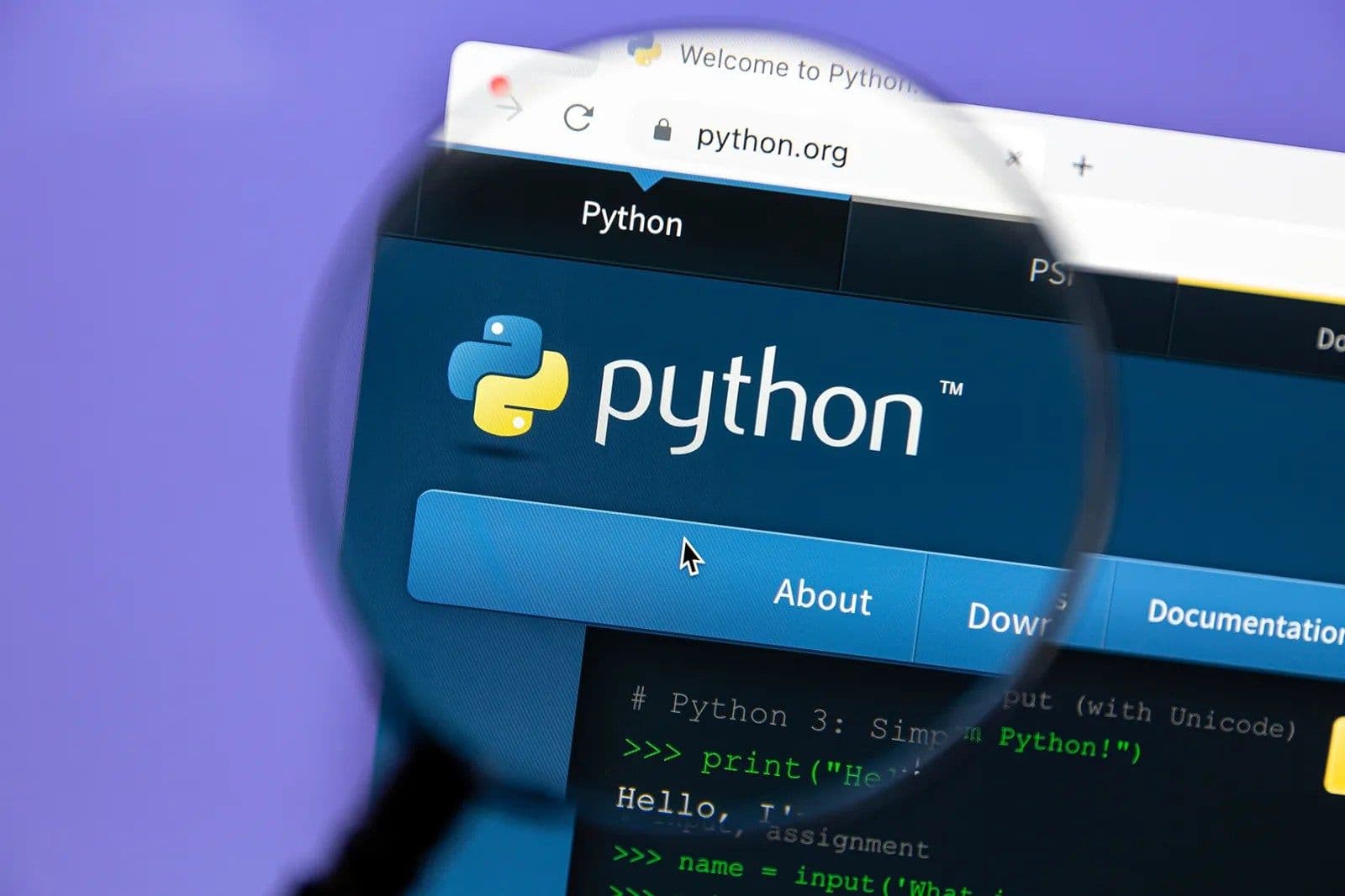 Pythonによる量的取引: 金融市場データへのアクセス方法